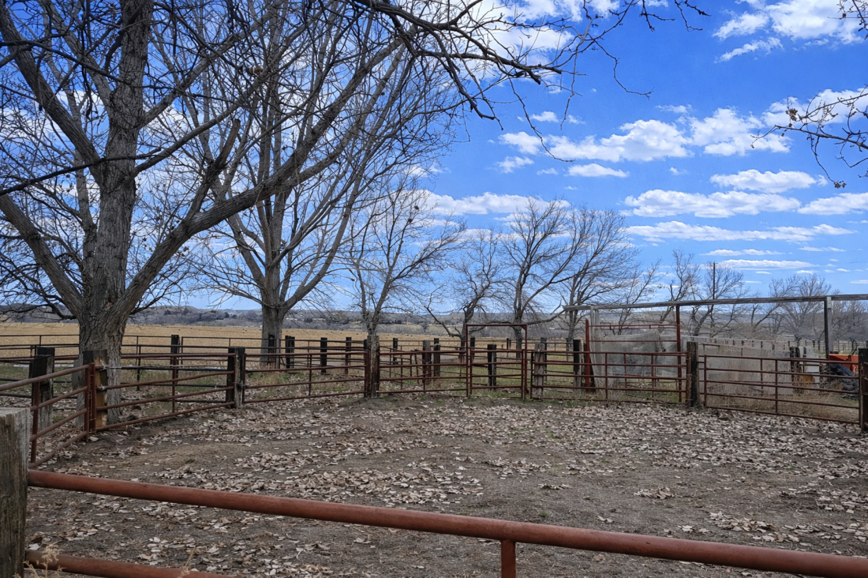Medicine Wheel Ranch - photo 26