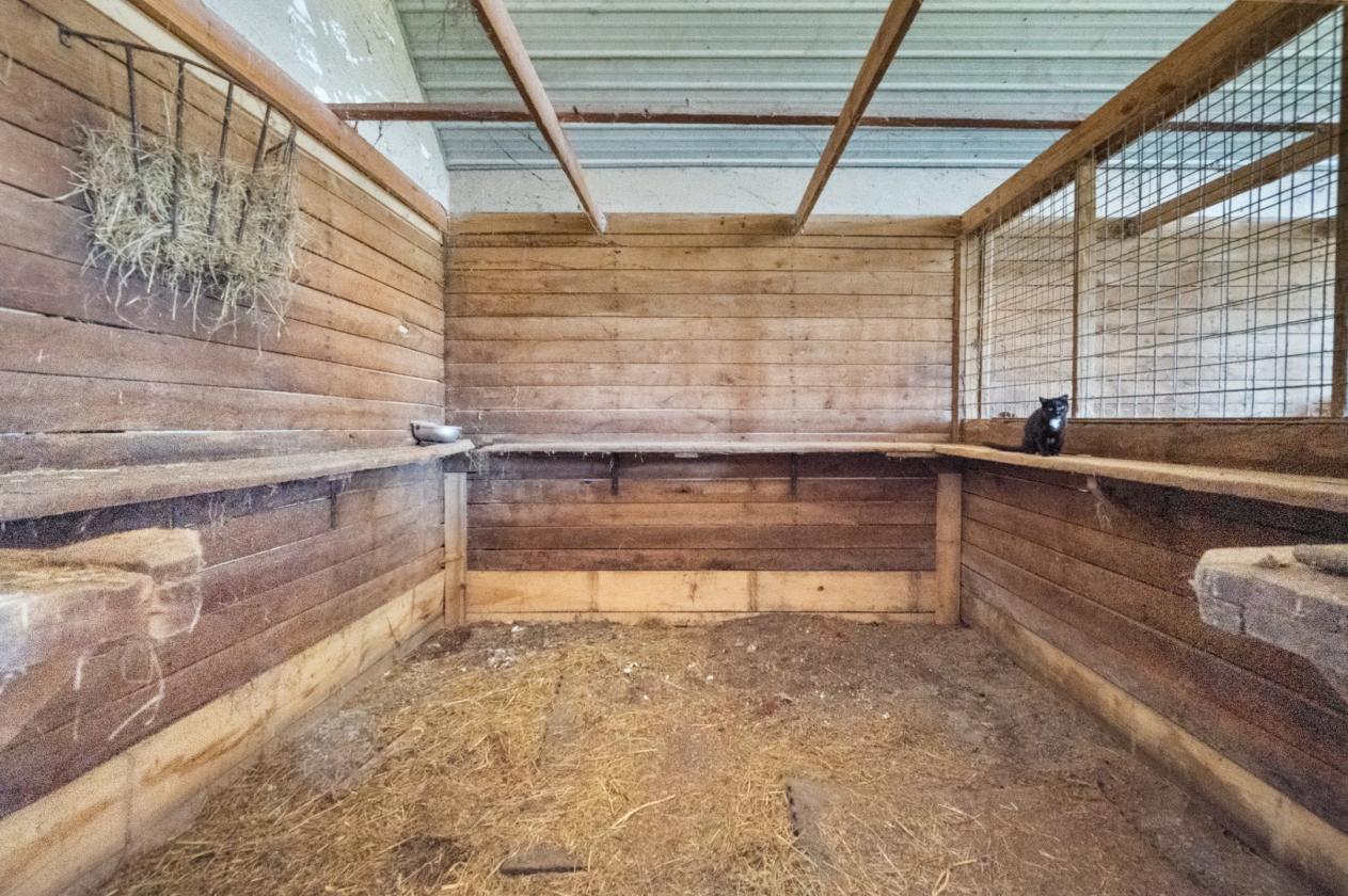 13.5 Acre Equestrian Property - photo 15