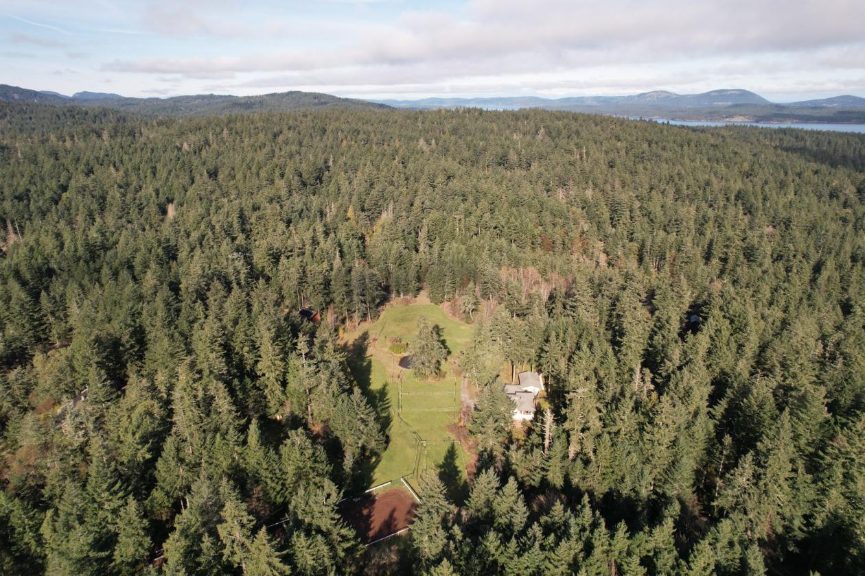 Salt Spring Island Hobby Farm Perfect for Horses!! - photo 26