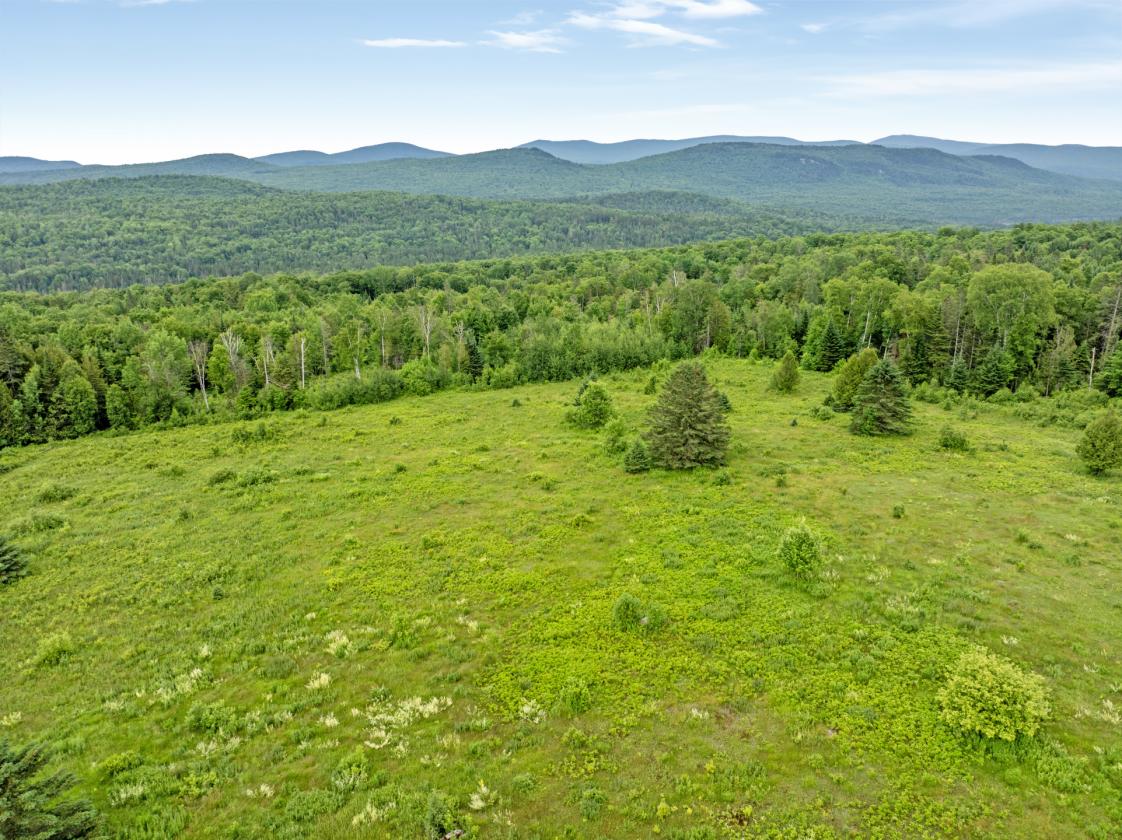Horse farm with Mountain views - photo 5