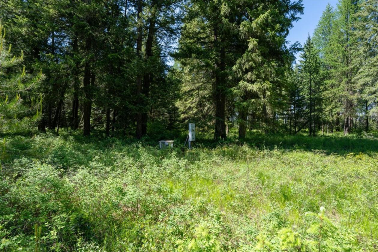 26 Level Acres with Nice Views! - photo 4
