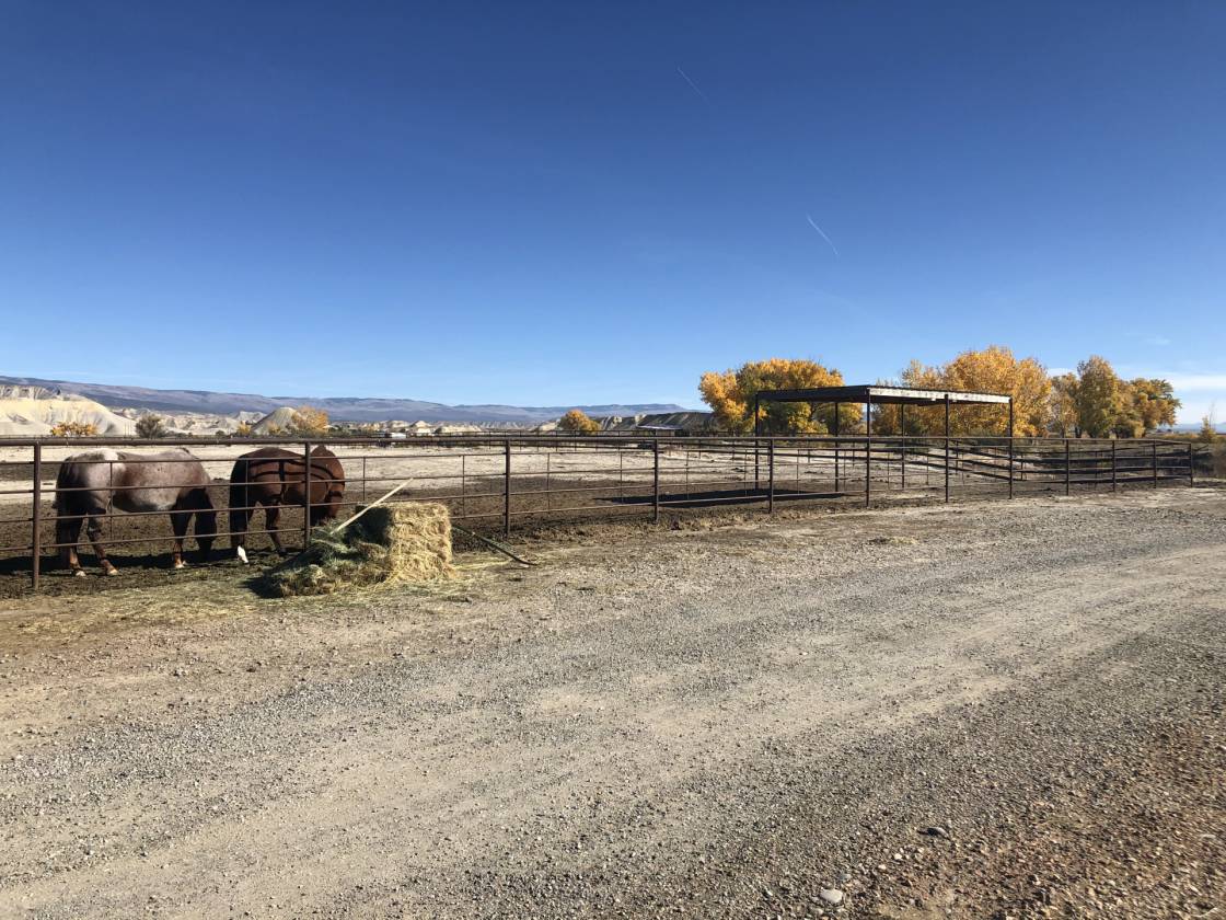 Exceptional Equestrian Property & Home! Delta, Delta County, Colorado