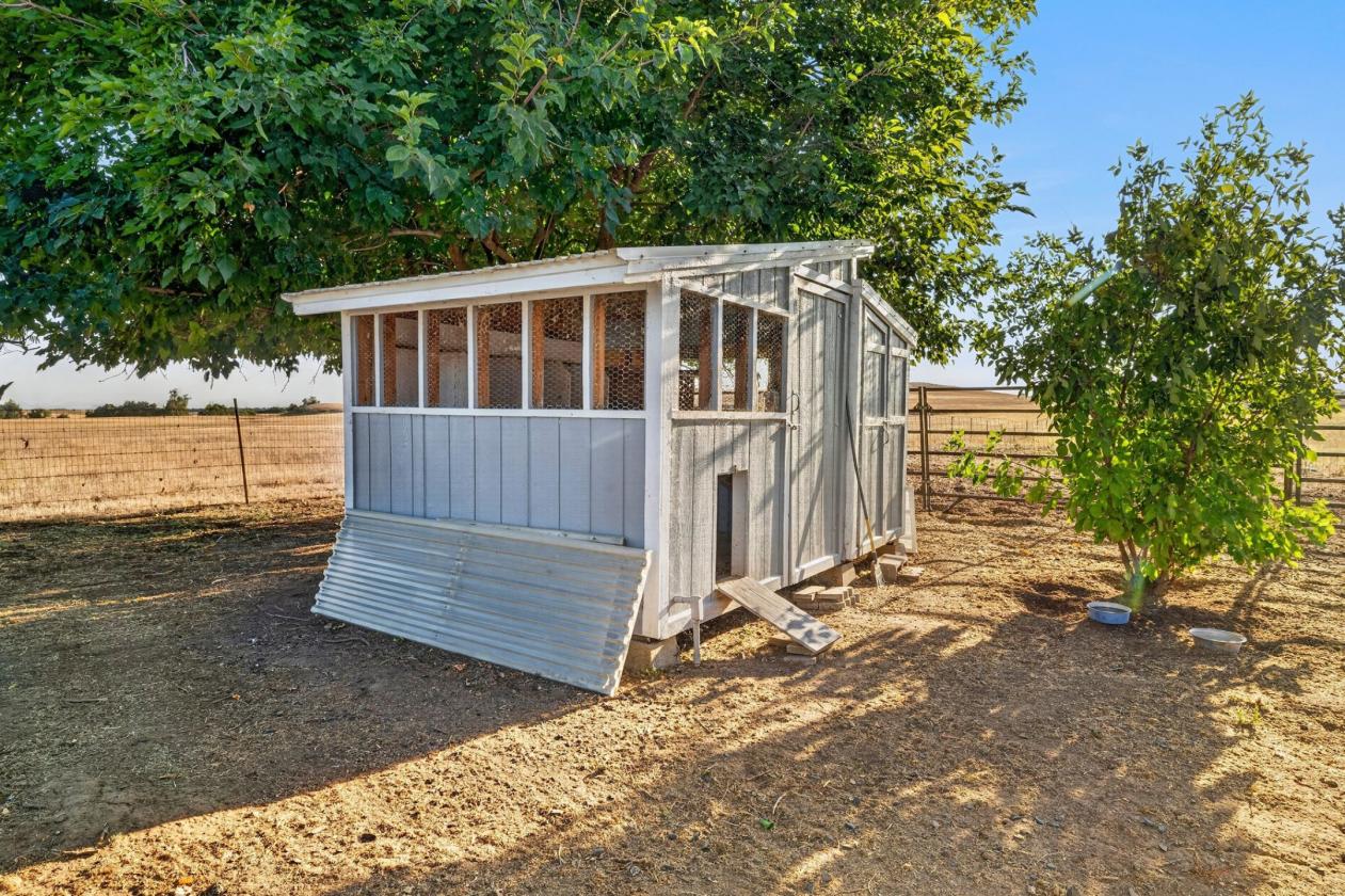 5 acre dream horse property and home! - photo 24