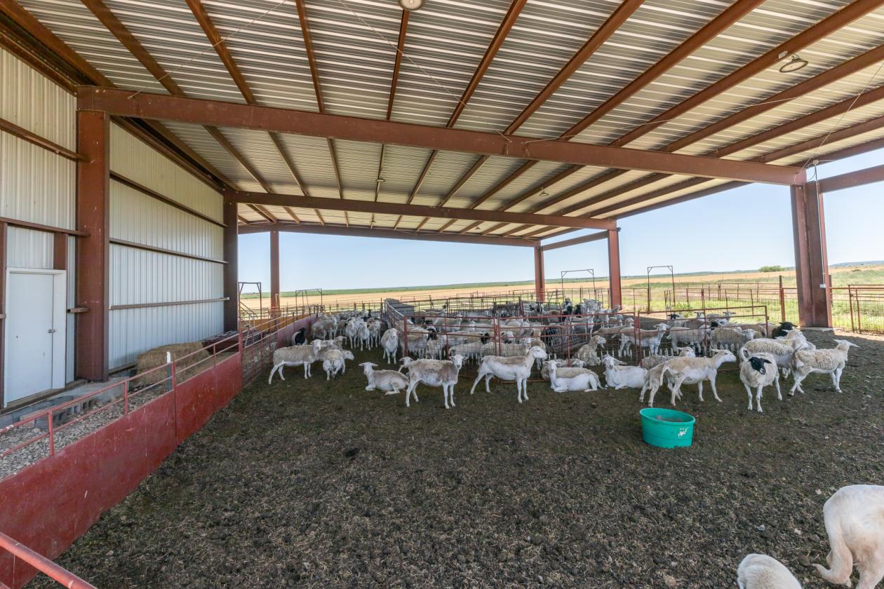 535-Acre West Texas Ranch Near Abilene Texas - photo 1