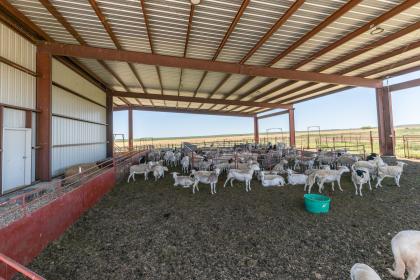 Property image.
