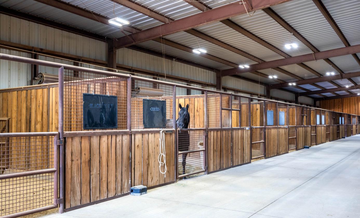 7B Ranch - photo 28