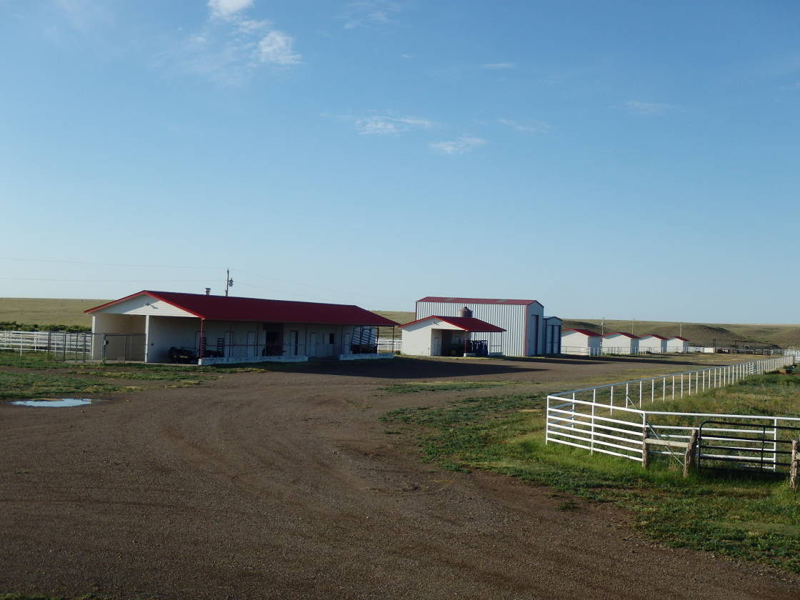 High Hope Ranch Springer, Colfax County, New Mexico