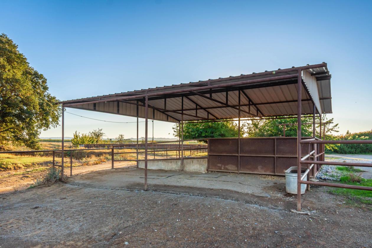 Equestrian's Paradise - photo 26