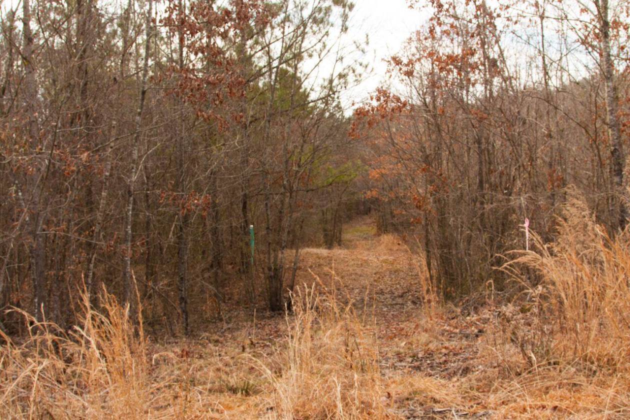 84 Acre Gated Horse farm Cleveland, Bradley County, Tennessee Horse