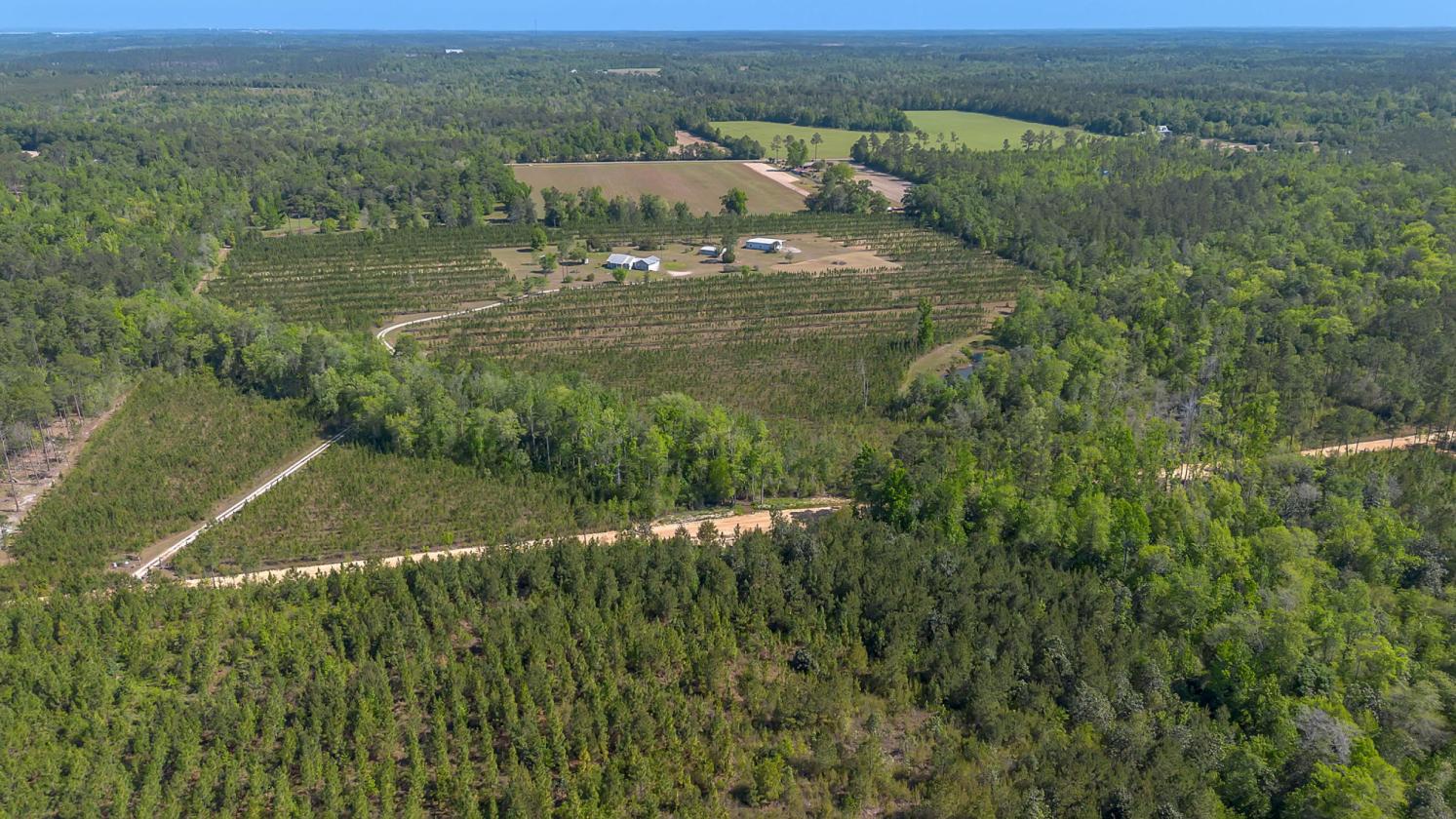 Horse property with gorgeous views - photo 7