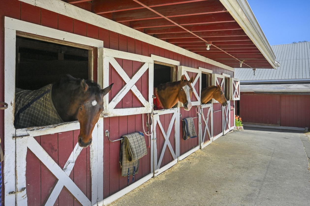 Silvermine Farm on 7 Acres Amazing Value - photo 3