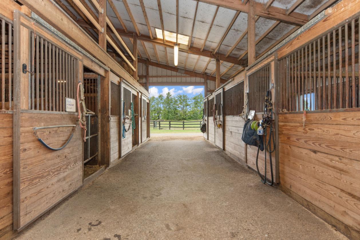 Cape Cod + 15 Acres + 18 Stalls + Indr + 2 Outdr - photo 9