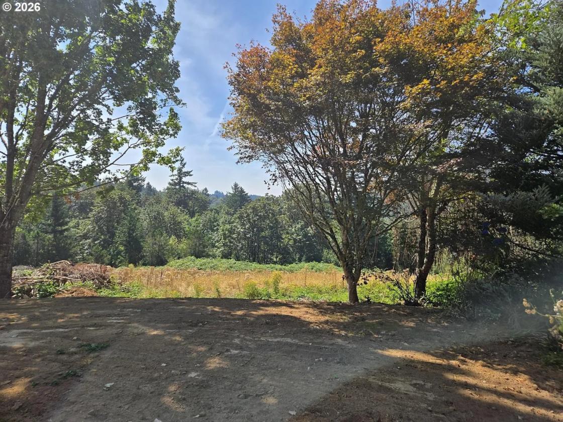 Excellent Horse Property - Location, Location - photo 27