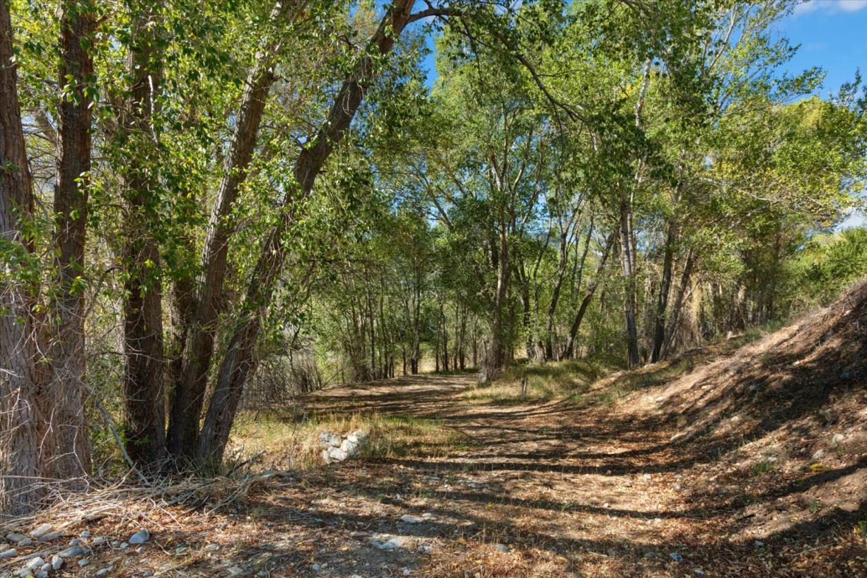 5-acre horse property - photo 4