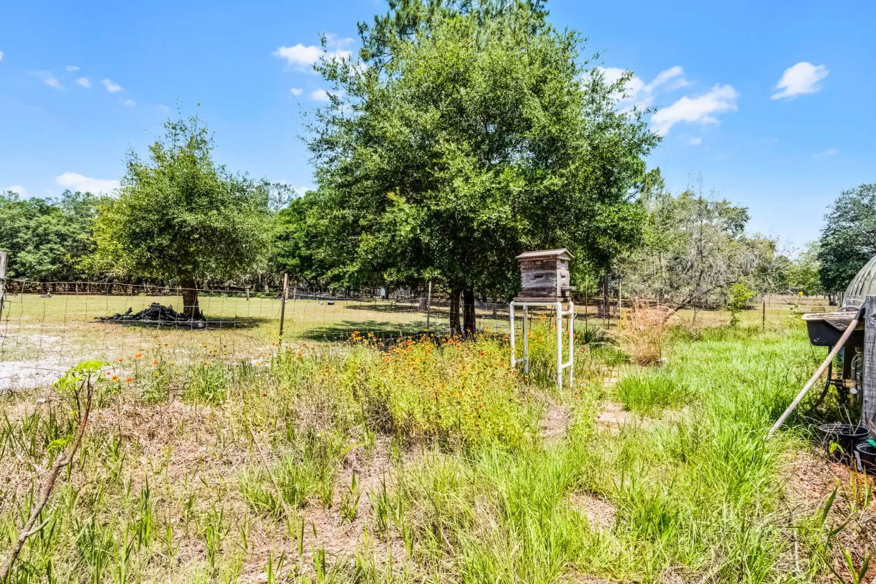 Private & Rare Wild Old Florida 36 Acre Gem - photo 19