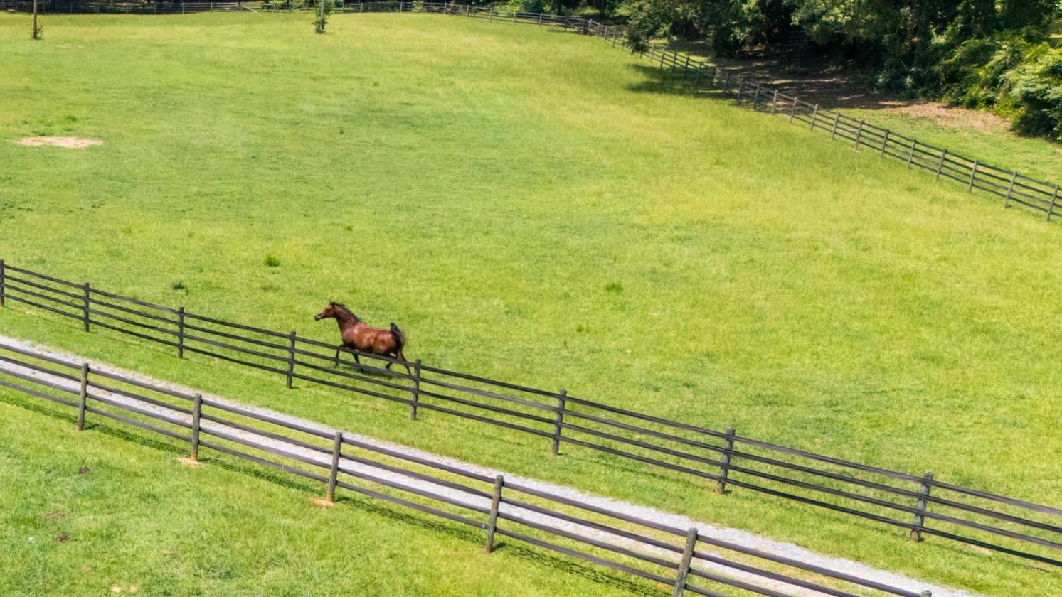 Equestrian Farm with 2 homes and stocked pond - photo 6