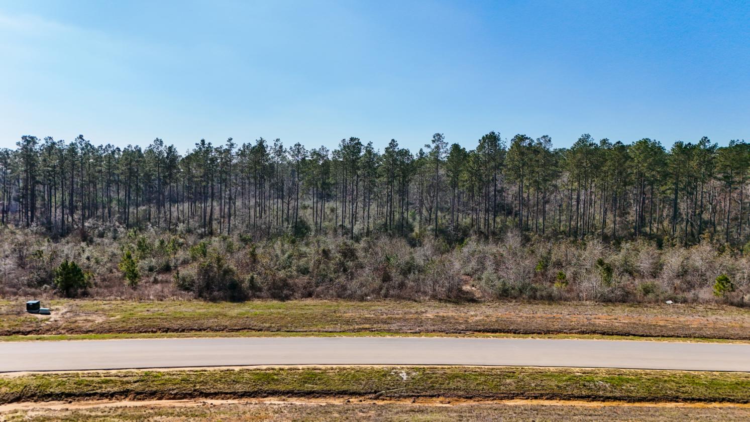 Land available ready to build your dream home - photo 6
