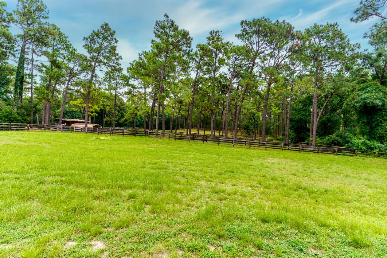 47+ Acres in the Heart of Horse Country - photo 7