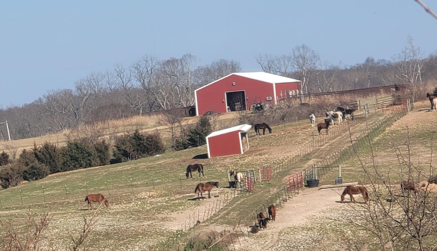Investment opportunity/Equestrian Facility - photo 19