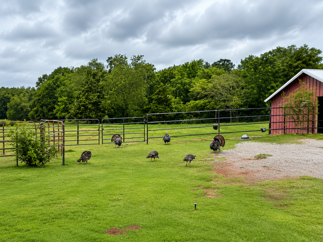 2 Homes 5 Acre Horse Property with Beautiful views - photo 17
