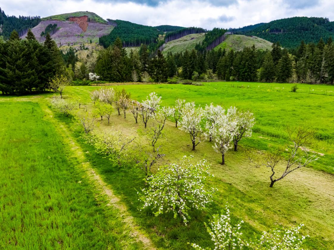 UNIQUE EQUESTRIAN AND ORGANIC FARM PROPERTY - photo 4