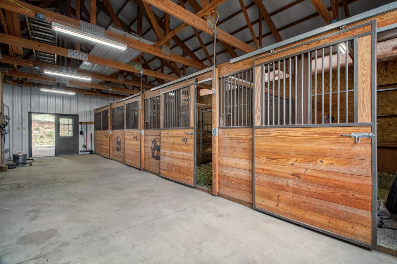 Great Horse Property with Space to Roam! - photo 3