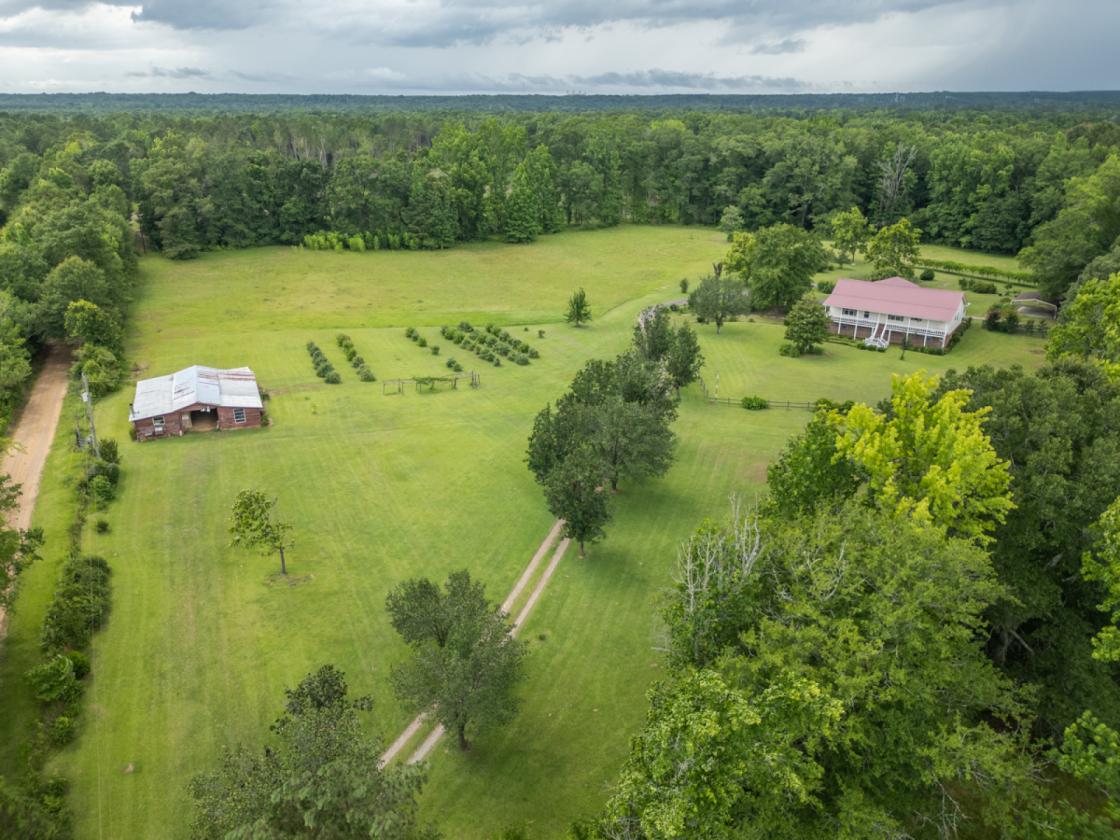 15 ACRES PLUS A HOME - photo 4