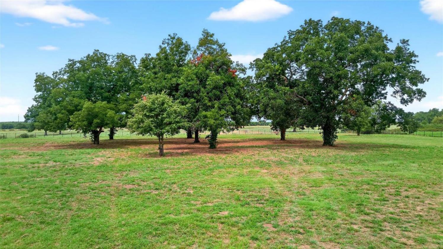 11 Acres of Pecan Trees - photo 12