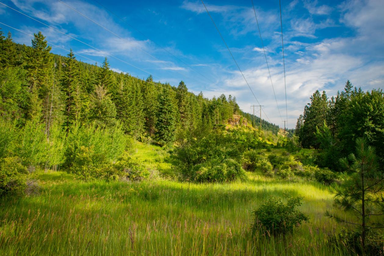 Natural Beauty & Accessibility - photo 10