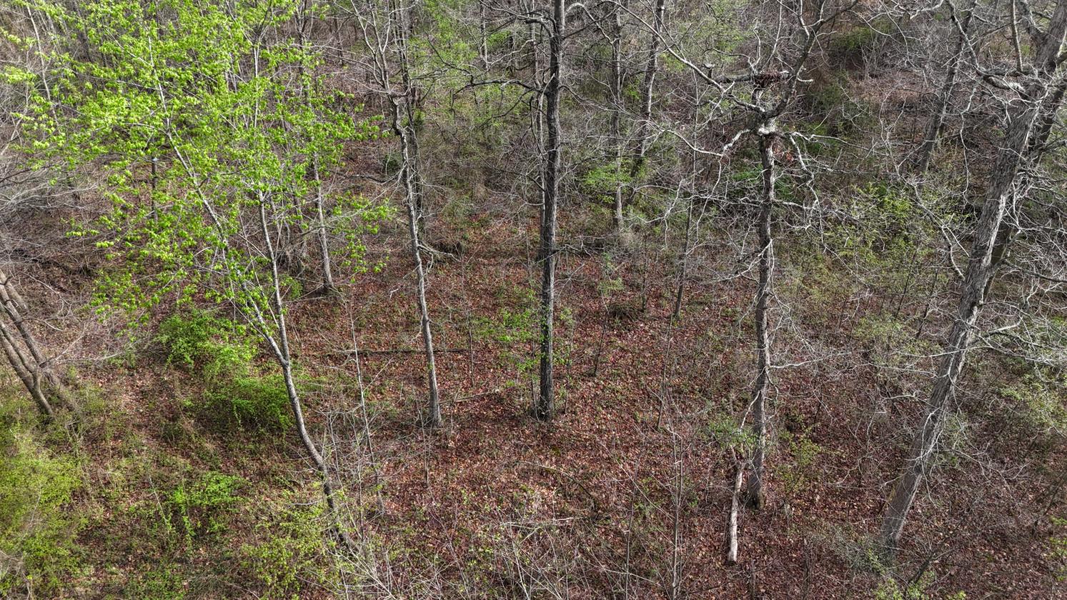 Excellent Acreage For Future Equestrian Property - photo 13
