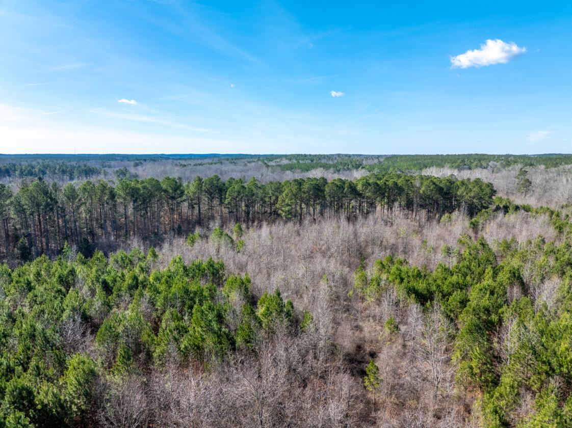 211 Acres- Luxury Estate & Equestrian Development - photo 16