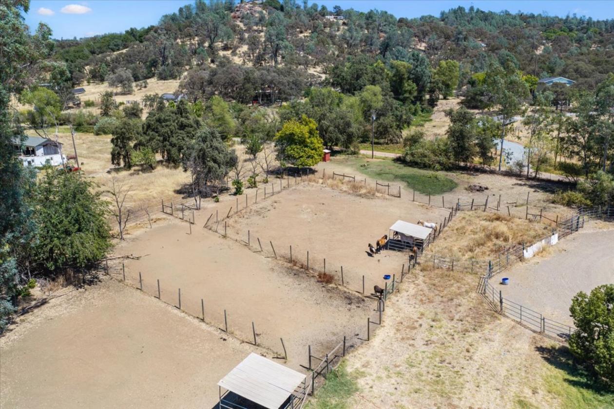 Professional Rodeo setup and Gorgeous House - photo 10