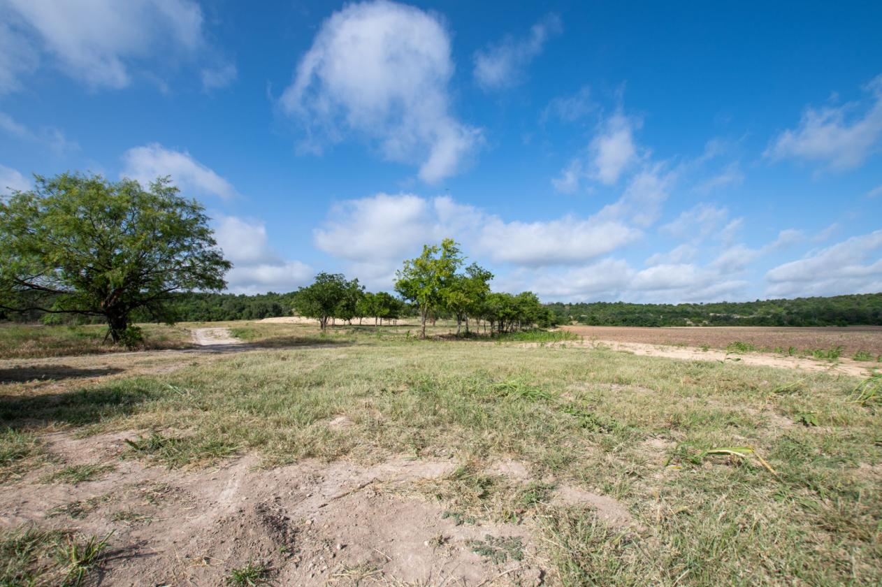 60 Acres in Star - Ready for Horses! - photo 26