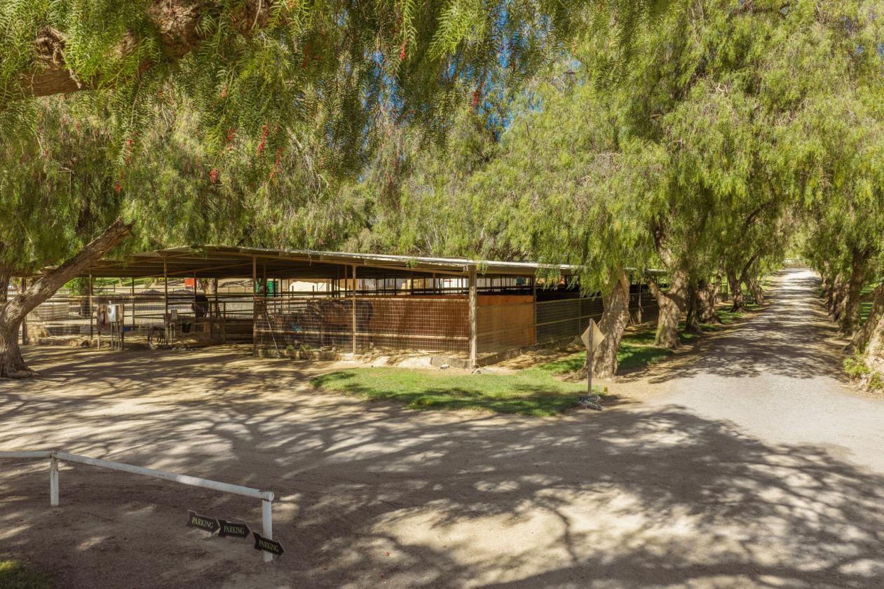 Luxury At Home. Excellence In The Ring. - photo 22