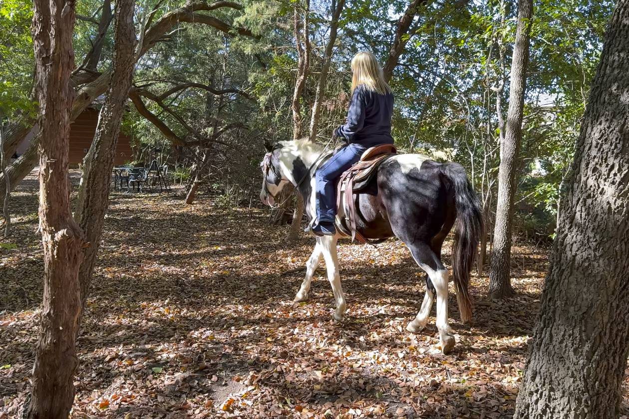 Lucas Equine, and nature lover paradise - photo 13
