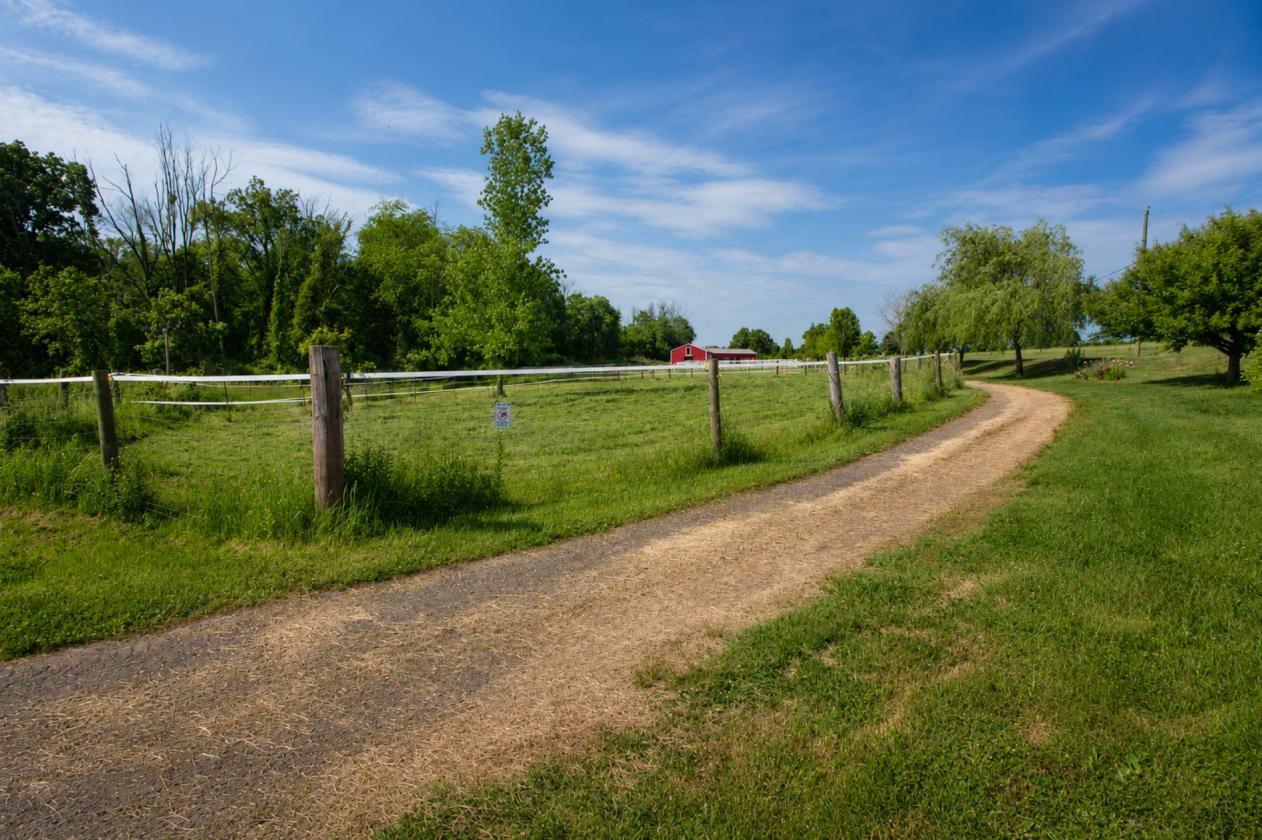 Turnkey Horse Farm on 59 Acres - photo 18