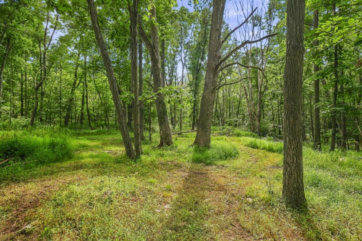 Private 5+ Acre Mountain-Top Equestrian Property - photo 28