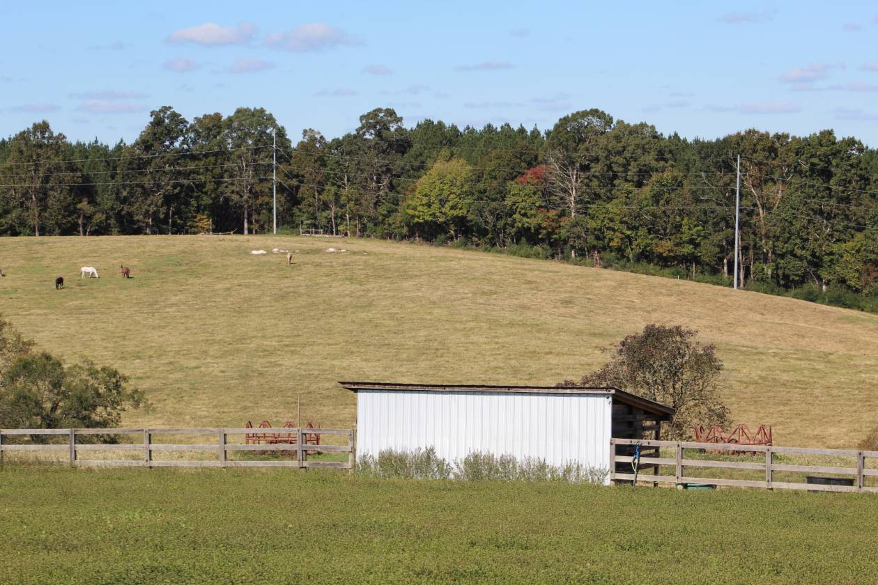 140 AC Horse Facility NC within 30 miles Pinehurst - photo 19