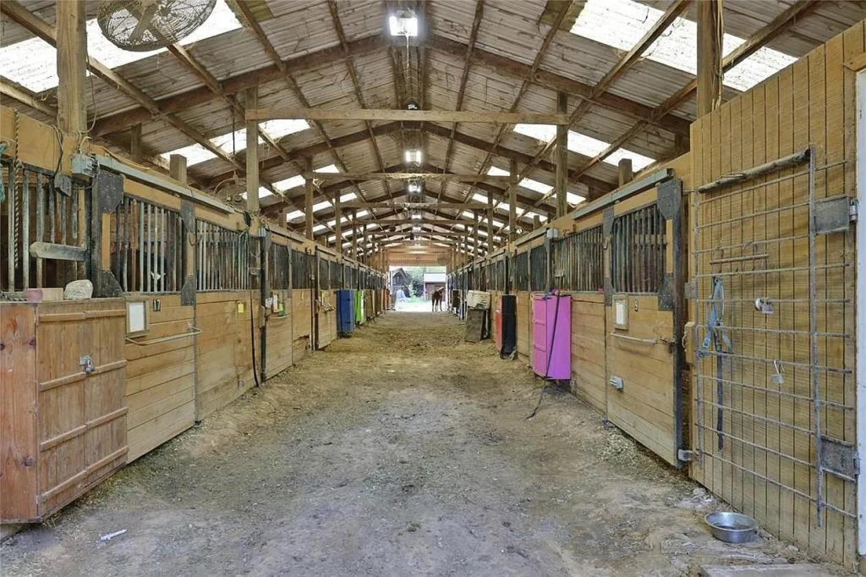 Equestrian Facility - photo 4