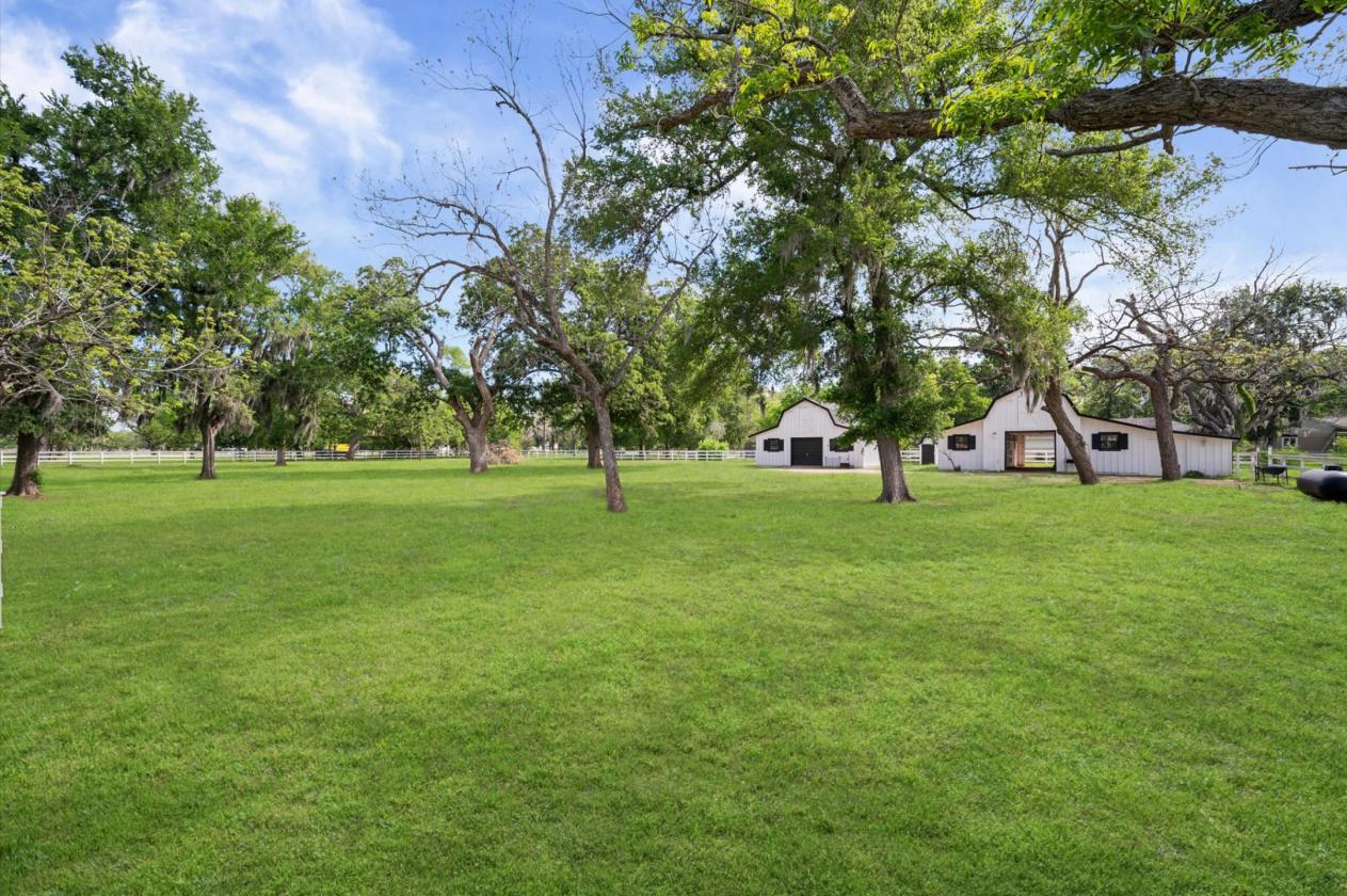 Luxury Home with Horse stables and Land - photo 5