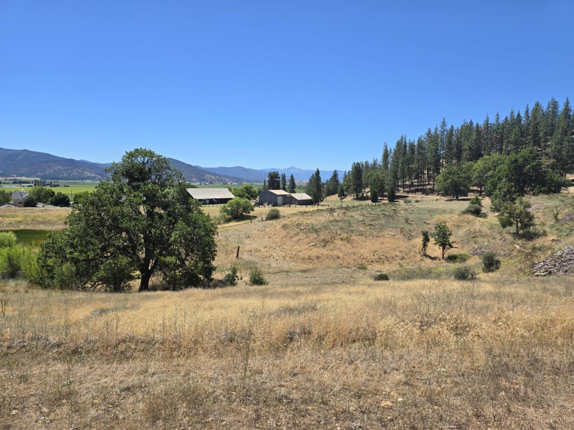 Dream property! - photo 2