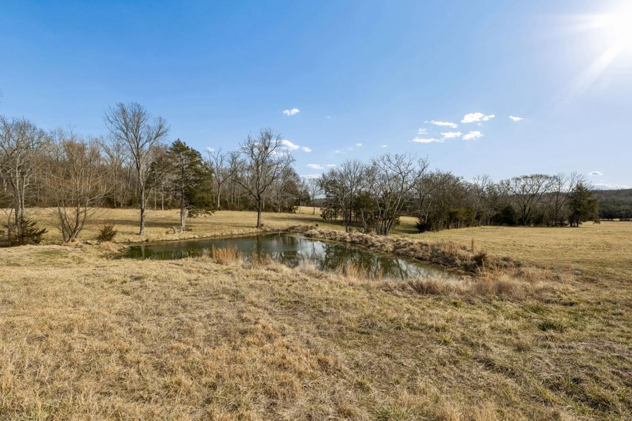 175 Gorgeous Acres - photo 12