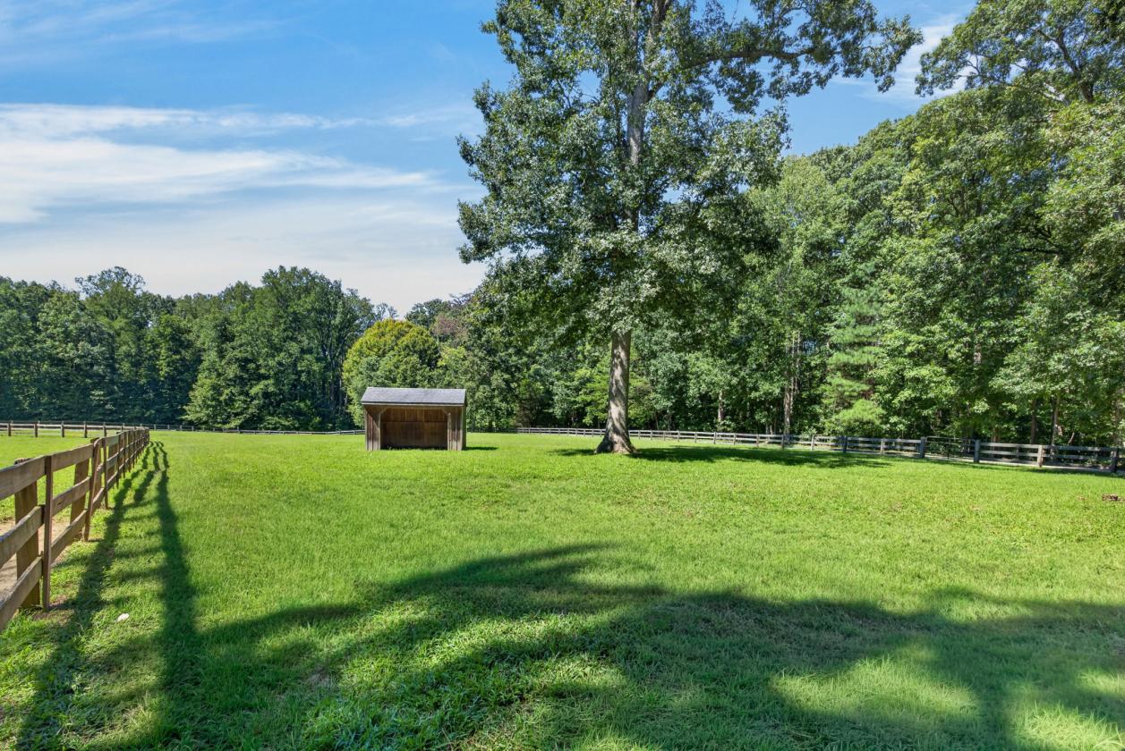 LOOKING for a 36 Equestrian Estate w/ guest house? - photo 21