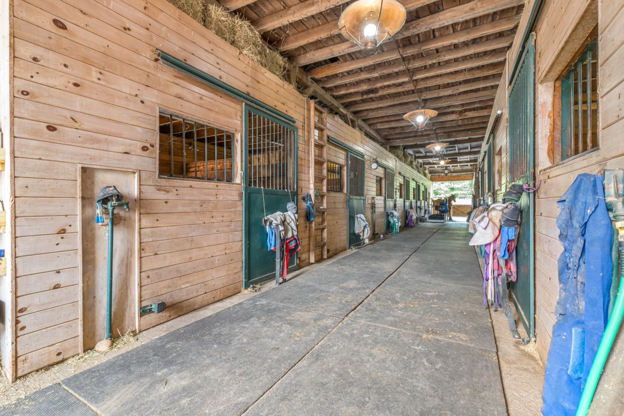Thriving Equestrian Facility - photo 6