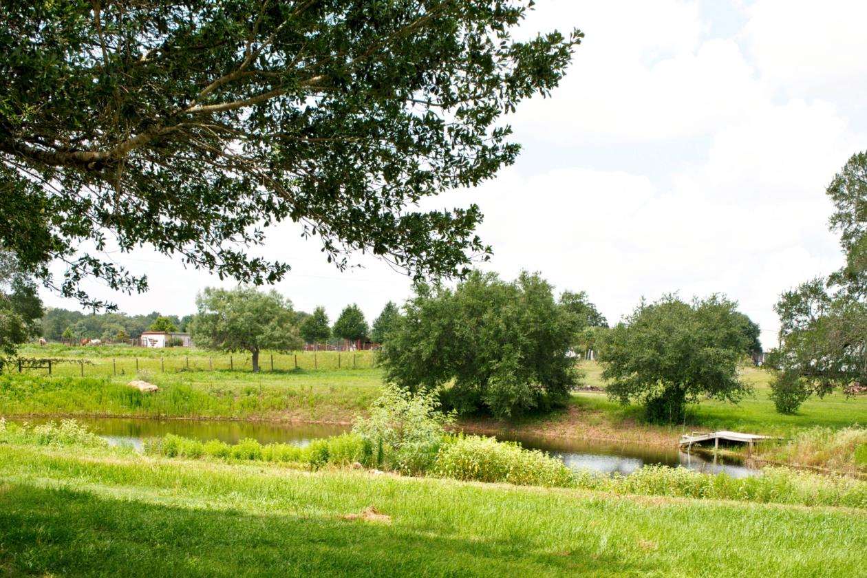 76 Ac. Braun Farm - photo 27