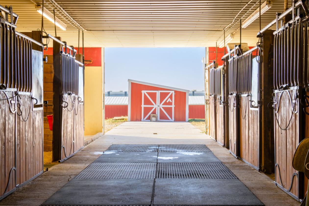 Exceptional 6.9-Acre Equestrian Property - photo 13