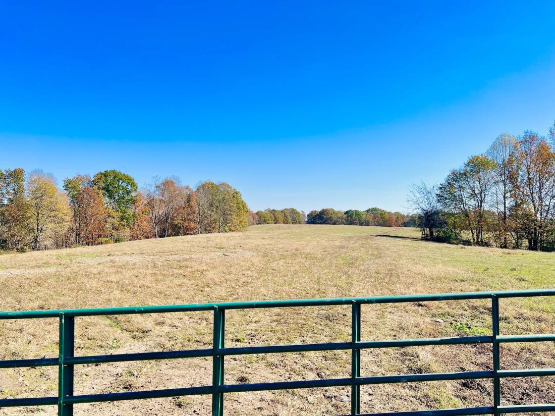 252 ACRES M/L NEAR LAKE CUMBERLAND - photo 9