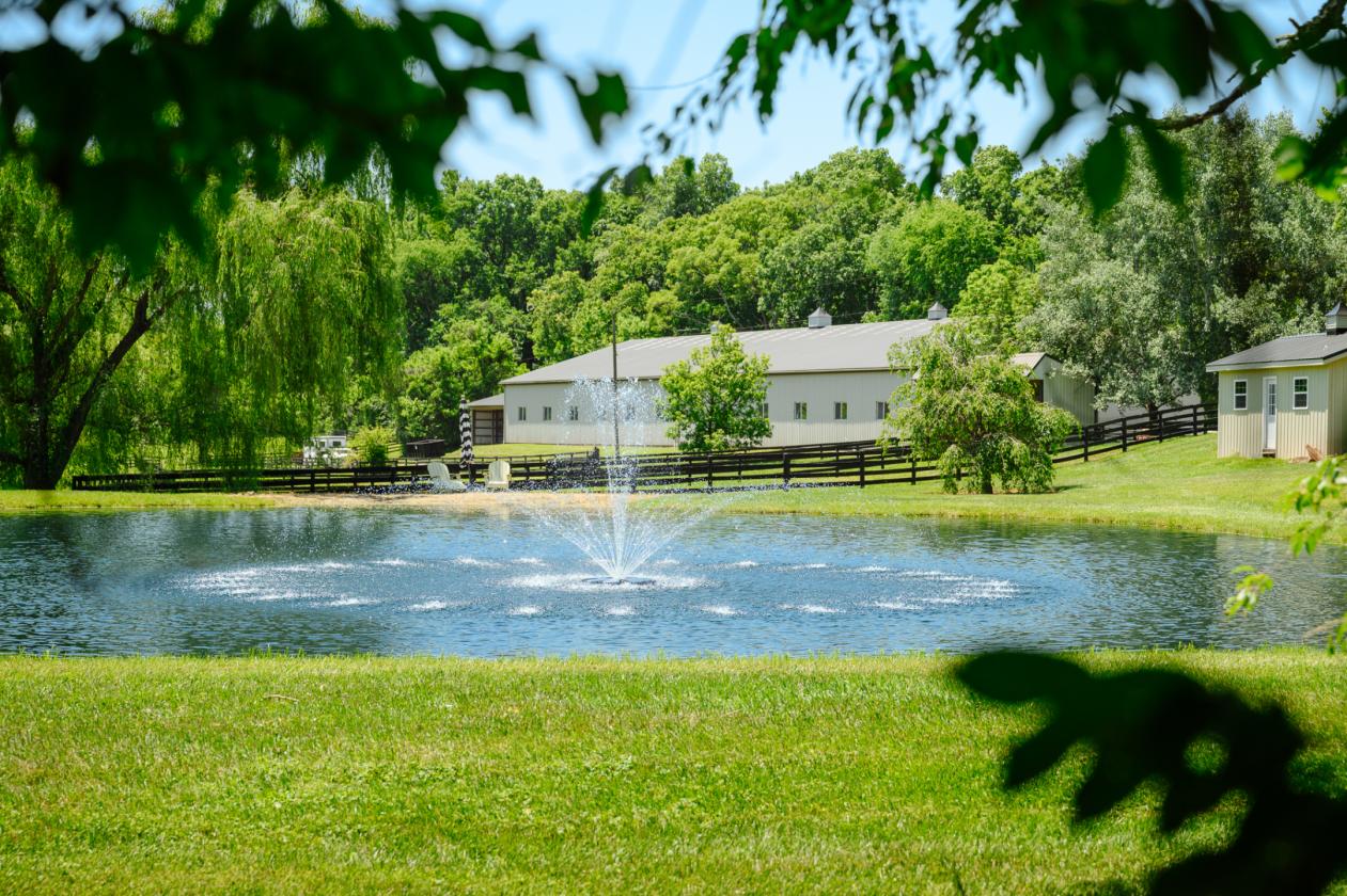 Equestrian Estate - Expanded Home, Barn & Arena! - photo 25