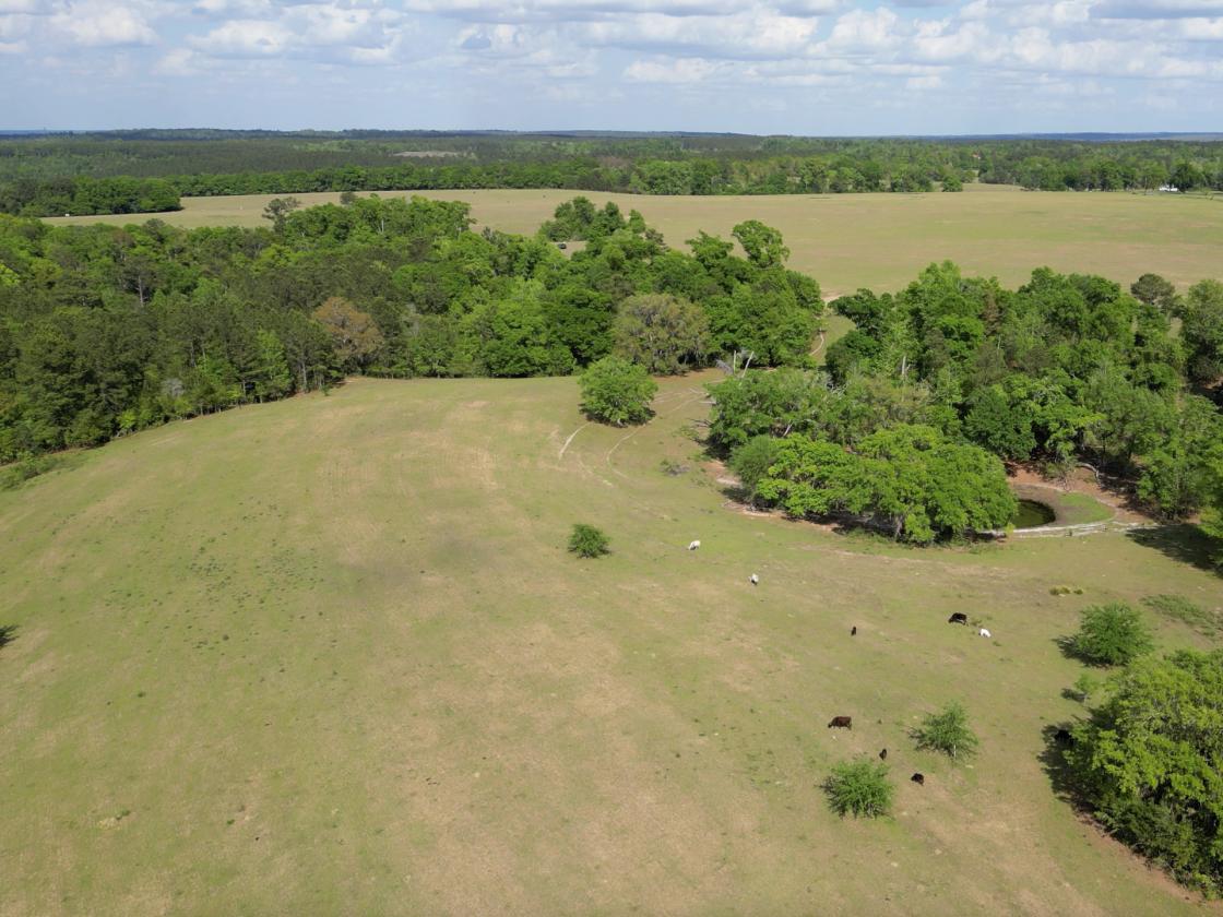320 prime acres on HIckory Hill, Washington County - photo 16