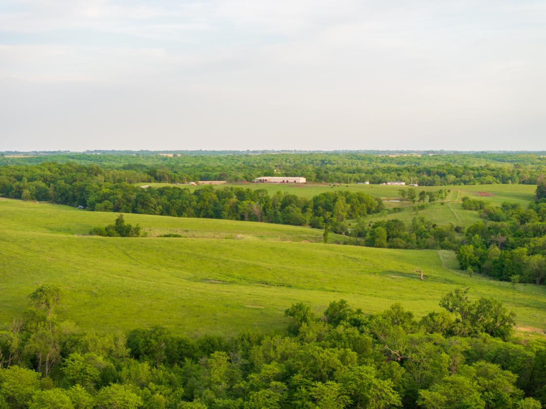 273.5 +/- Acre Turn-Key Cattle and Horse Property - photo 21